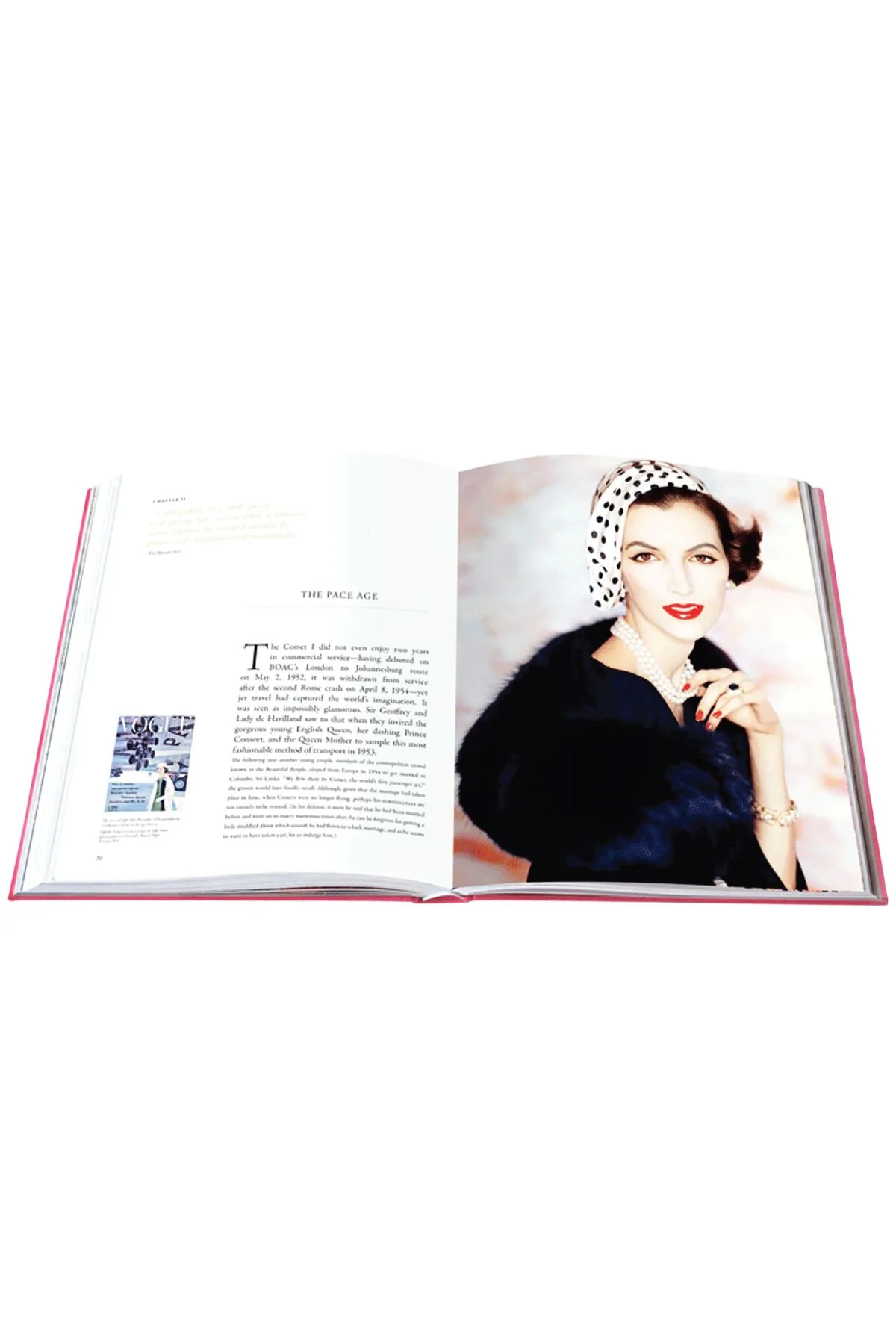 Assouline Swans: Legends of the Jet Society - Image 5