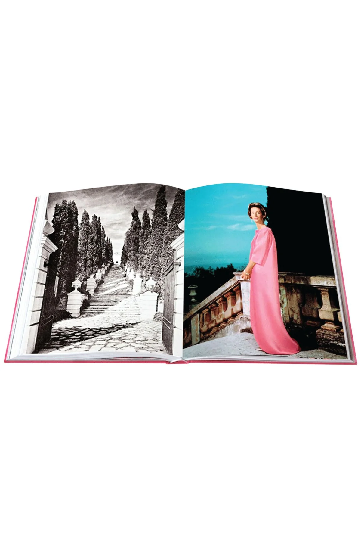 Assouline Swans: Legends of the Jet Society - Image 6